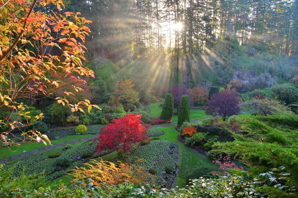 Butchart Sunken Garden in Autumn