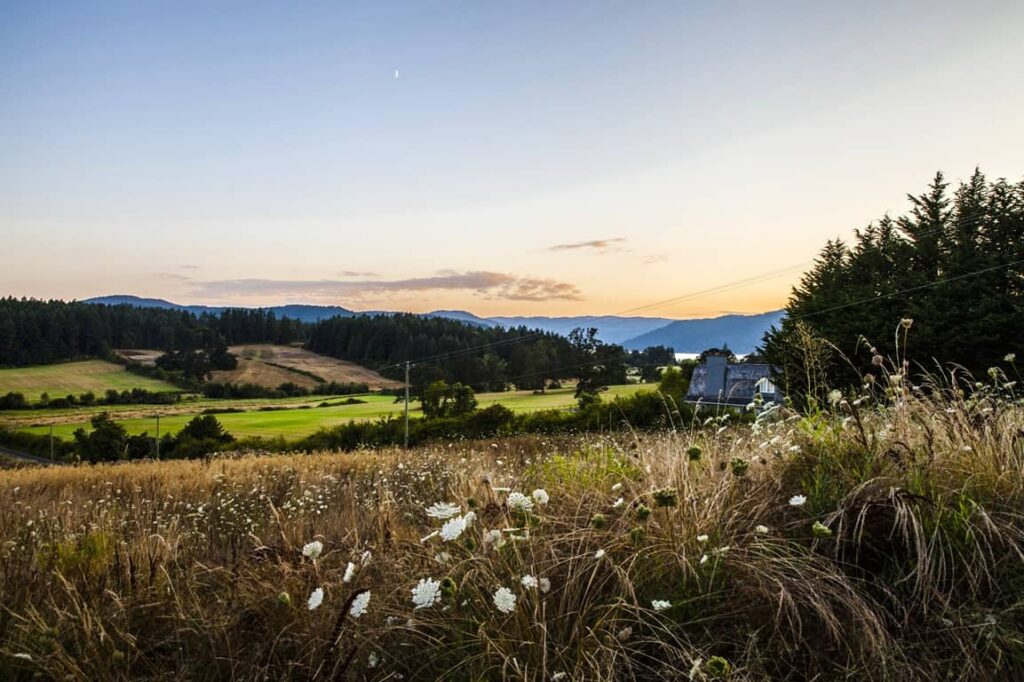 Saanich peninsula farmland through the seasons