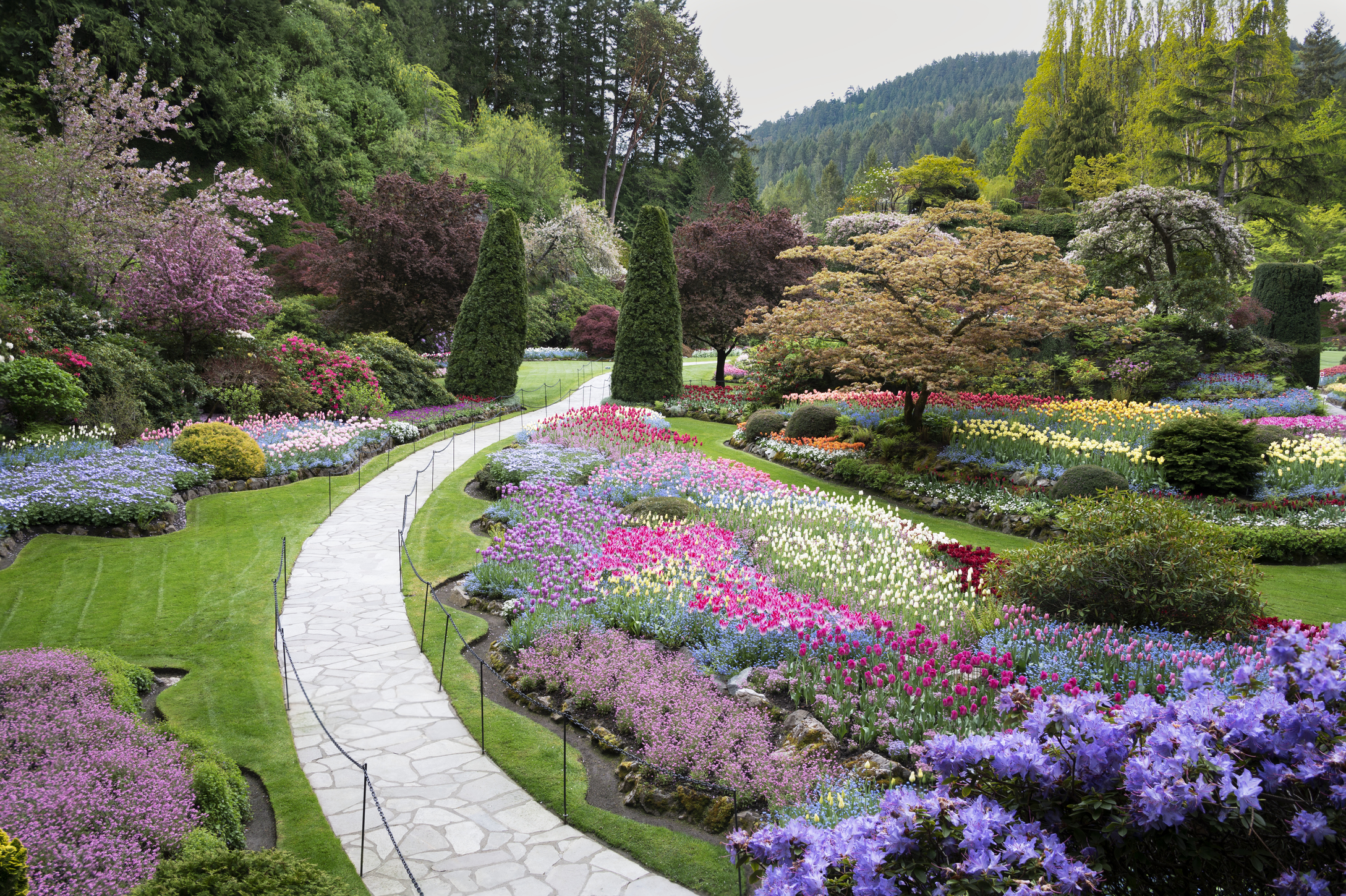 Spring in Butchart Gardens